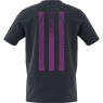 Pánske tričko Adidas Tennis 3S Graphic Tee IW0150 modré