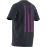 Pánske tričko Adidas Tennis 3S Graphic Tee IW0150 modré